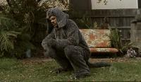 Wilfred